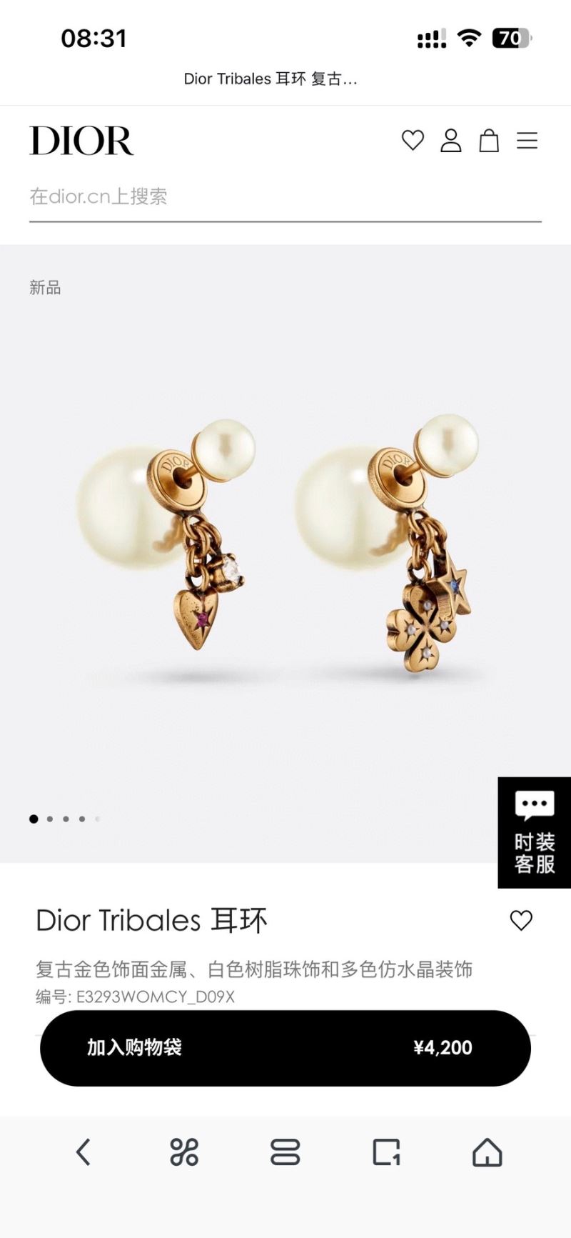 Christian Dior Earrings